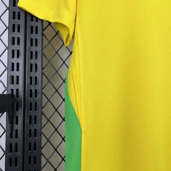 Brazil national 2025-2026 home