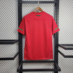 Retro Portugal national 2010 home