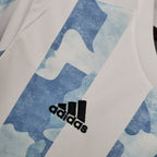 Retro Argentina national 2020 home