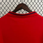 Retro Spain national 2010 home
