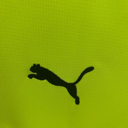 BVB Dortmund 2025-2026 special edition green