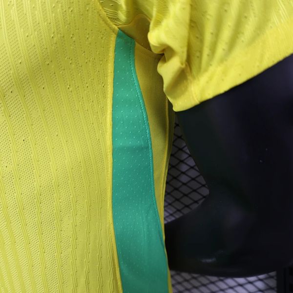 Brazil national 2025-2026 home player