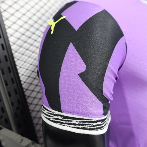 BVB Dortmund 2025-2026 Goalkeeper player