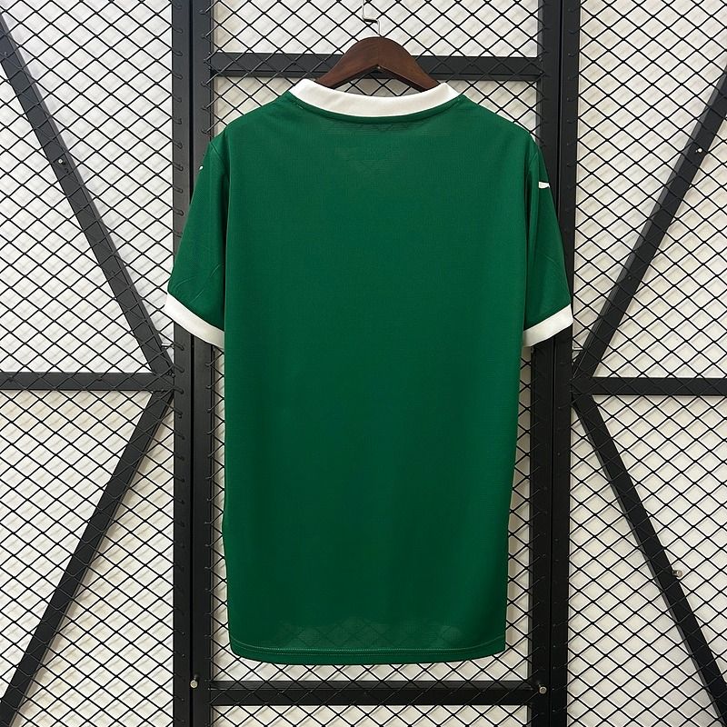 Palmeiras 2025-2026 home Secondary image