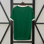 Palmeiras 2025-2026 home