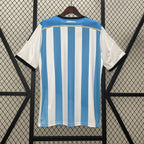 Retro Argentina national 2014 home