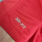 Retro Portugal national 2010 home