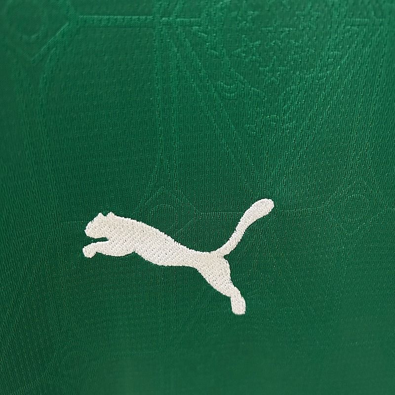 Palmeiras 2025-2026 home