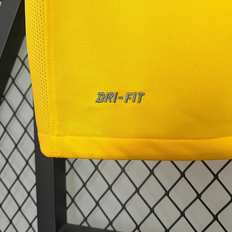 Retro Brazil national 2010 home