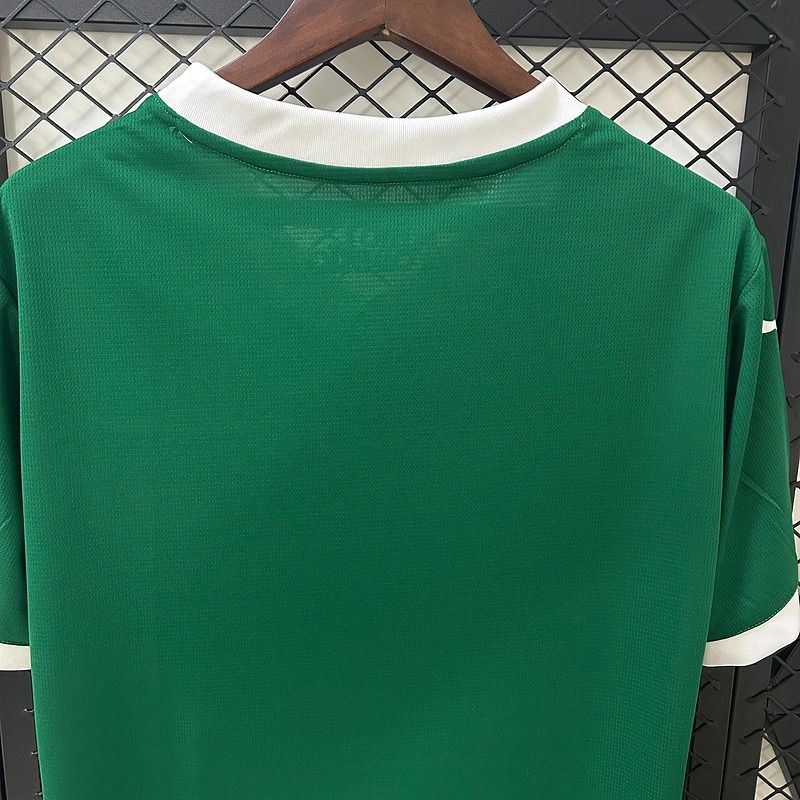 Palmeiras 2025-2026 home