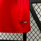 Retro Spain national 2010 home