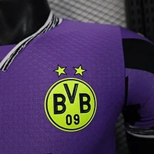 BVB Dortmund 2025-2026 Goalkeeper player