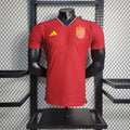 Spain 2022 FIFA World Cup home player