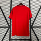 Retro Spain national 2010 home
