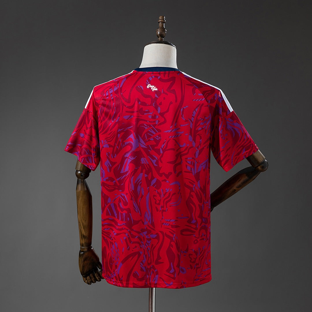Costa Rica 2026 Home Fan Image secondaire du produit