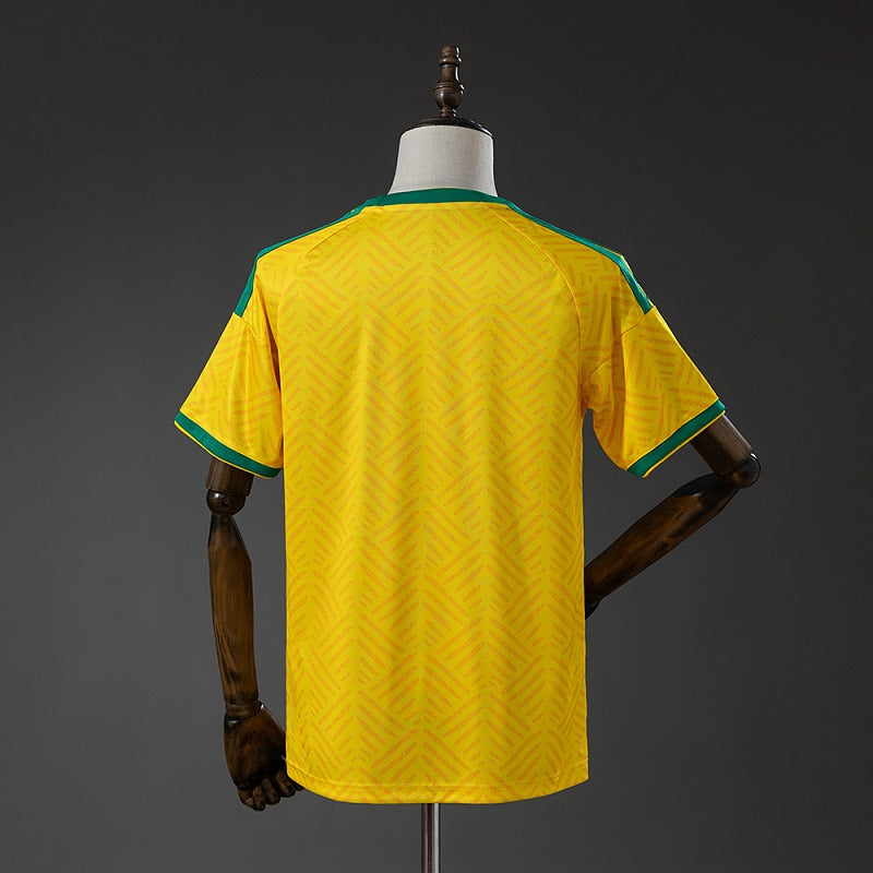 South Africa 2026 Home Fan