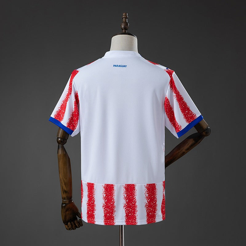 Paraguay 2026 Home Fan Secondary image
