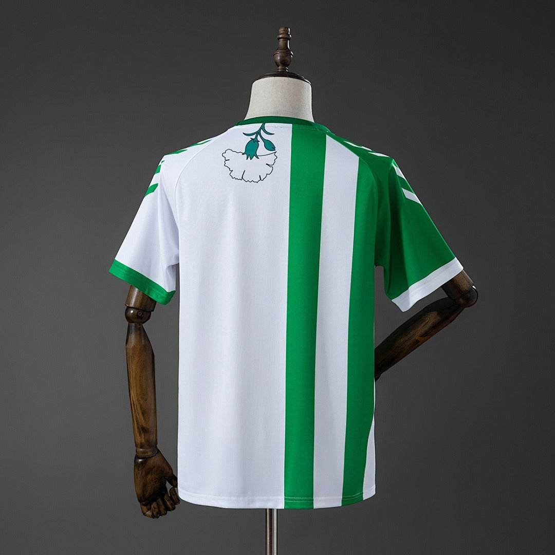 Real Betis 2025-2026 special edition Secondary image