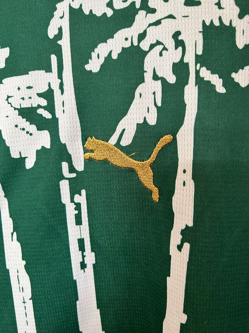 Palmeiras 2025 - 2026 special edition - WCFOOTBALLSUIT