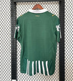 Palmeiras 2025 - 2026 special edition - WCFOOTBALLSUIT